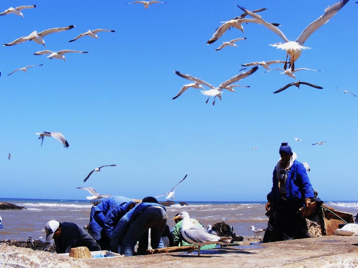 Essaouira, Morocco, photo 9