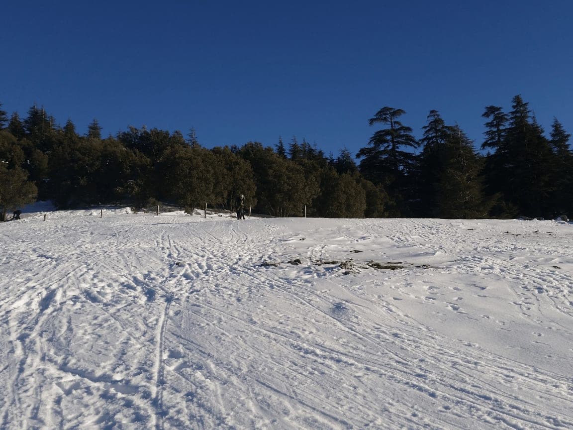 Ifrane, Morocco, photo 6