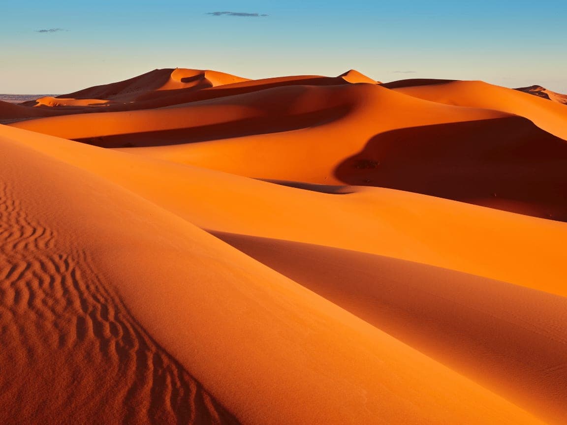 Camel trekking in Morocco: what to expect