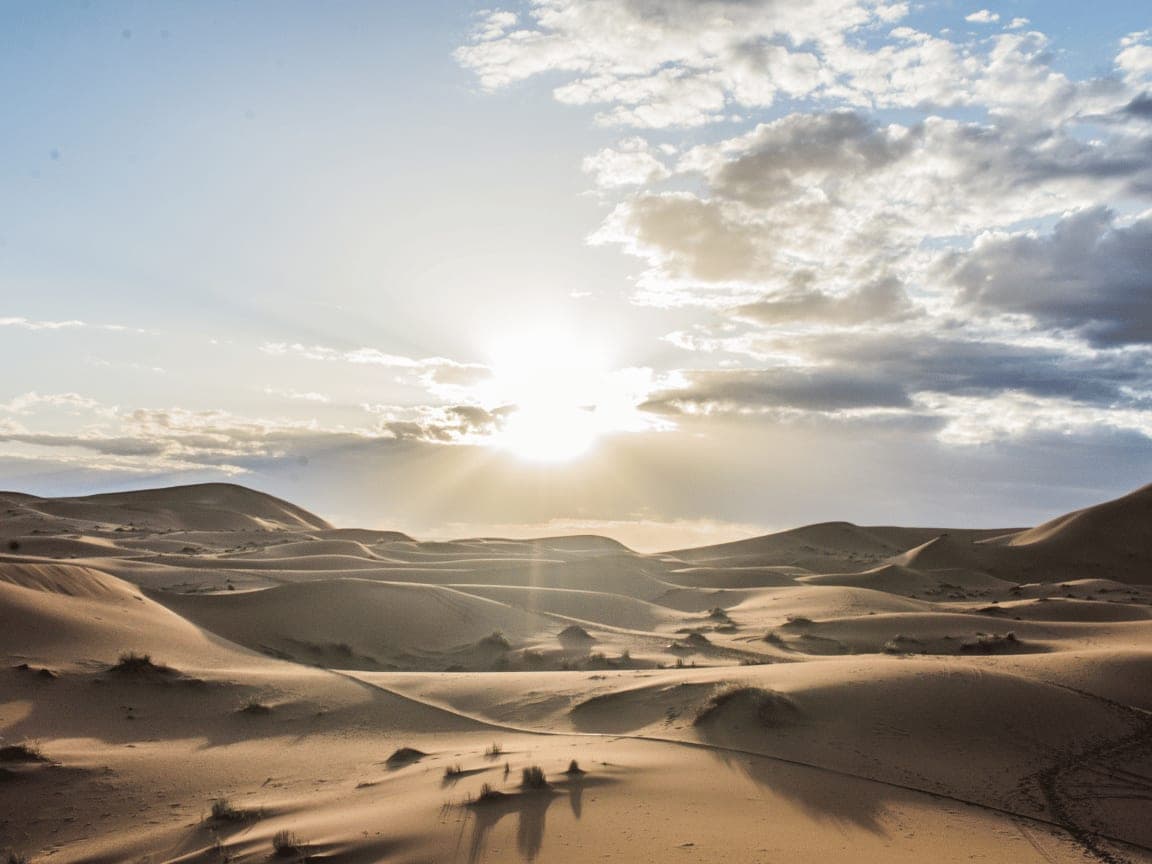 Morocco's fossil trade: what's real, and where it comes from
