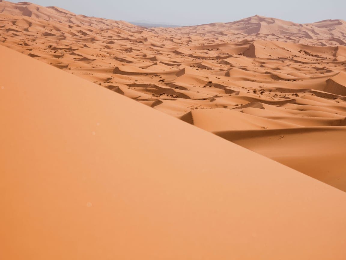Sustainable desert life: how communities actually live in the Sahara's edge