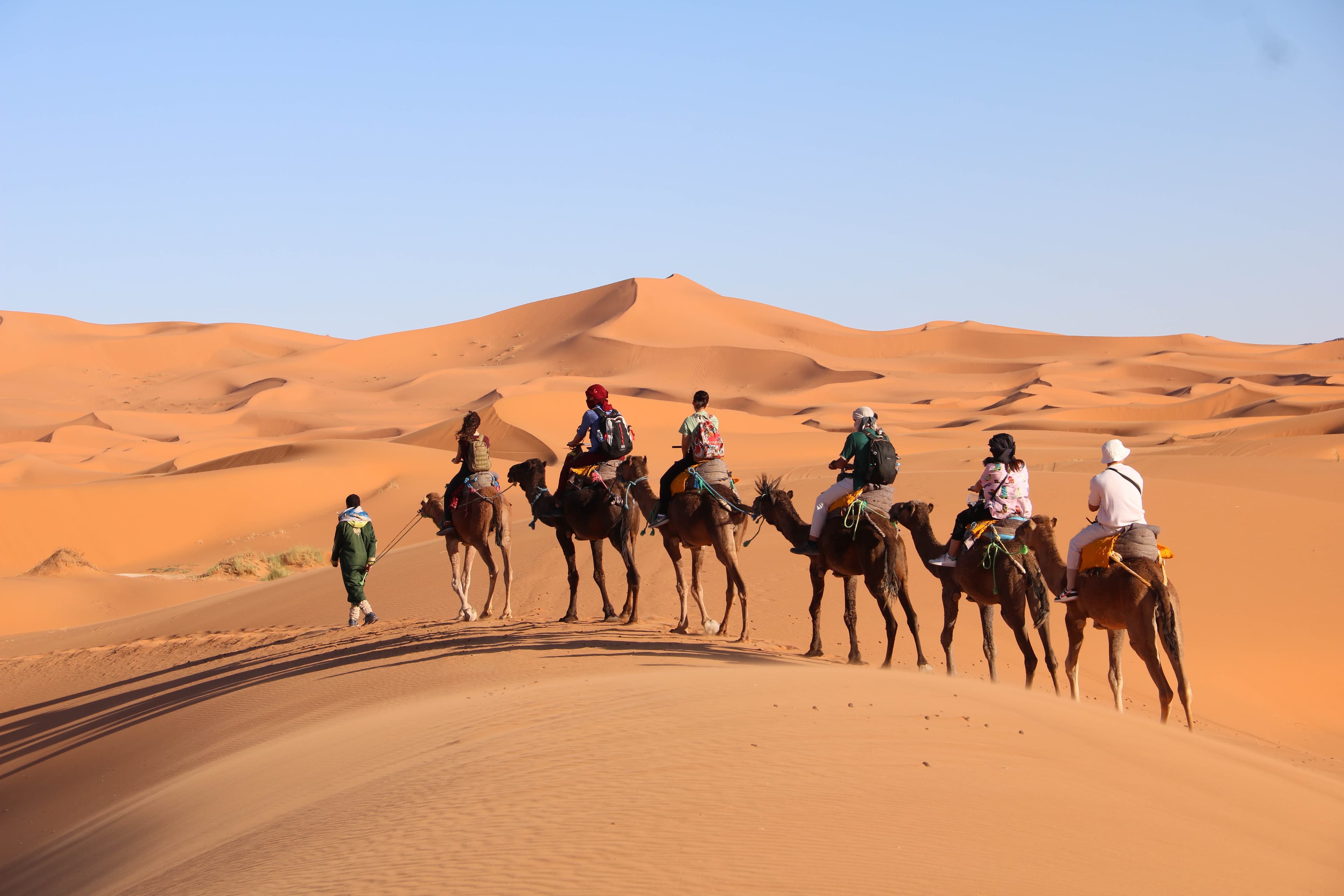 A camel caravan crossing the Erg Chebbi dunes by day