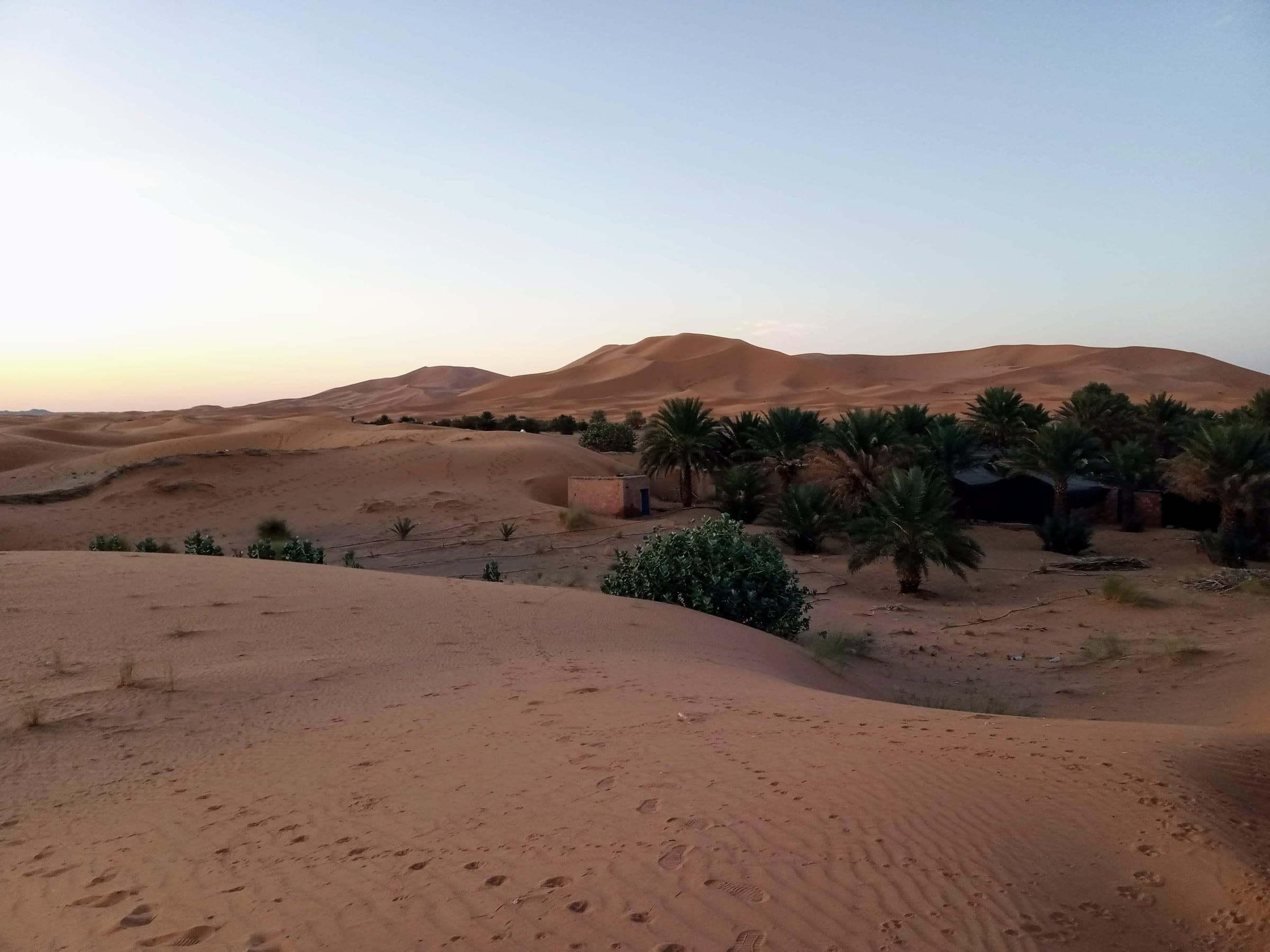 A camel caravan crossing the dunes, Erg Chebbi
